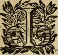 An illustration from Remarques de Monsieur le Mareschal de Bassompierre sur les vies des roys Henry IV. & Louys XIII (1665)