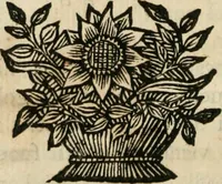 An illustration from Remarques historiques sur les medailles et les monnoyes (1740)