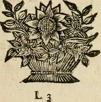 An illustration from Remarques historiques sur les medailles et les monnoyes (1740)