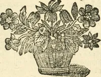 An illustration from Remarqves necessaires pour la culture des flevrs. La maniere avec laquelle il les faut cultiver, & les ouvrages qu'il faut faire selon chaque mois de l'année. Avec une methode facile pour faire toutes sortes de palissades, bosquets, & autres ornemens qui servent à l'embellissement des jardins de plaisir; & un catalogue des plantes les plus rares: le tout diligemment observé (1678)