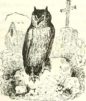 An illustration from Reminescenze e fantasie (1841)