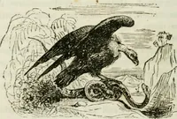 Picture 5 of 11 from Reminescenze e fantasie (1841), leaf 99