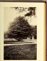 Picture 21 of 56 from Reminiscences of Newport ...Extra Illustrated. Edition B. (1884), leaf 270