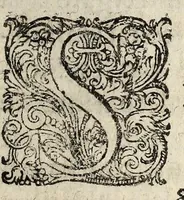 An illustration from Remonstrance presentee av roy, (1626)