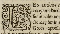 An illustration from Remonstrances, et discovrs faicts et prononcez en la cour, & chambre de l'edict establie à Castres d'Albigeois, pour le ressort de la cour de Parlement de Tholose: (1597)