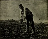 Picture 183 of 196 from Renaissance and modern art : (1913), leaf 307