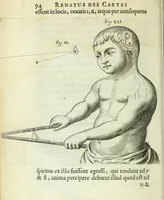 Picture 17 of 29 from Renatus des Cartes De homine figuris / (1664), leaf 140