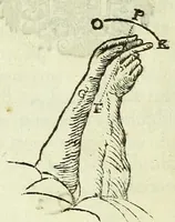 Picture 29 of 29 from Renatus des Cartes De homine figuris / (1664), leaf 188