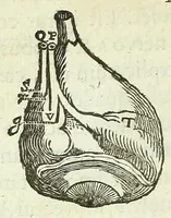 Picture 8 of 29 from Renatus des Cartes De homine figuris / (1664), leaf 72