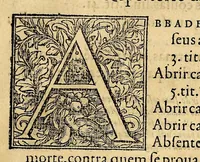 An illustration from Repertorio dos cinquo livros das ordenações com addições das lejs extrauagantes, : dirigido ao muito illustre senhor dom Francisco Coutinho, conde do Redondo, regedor da justiça deste reino. (1560)