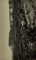An illustration from Report 1911 (1896)