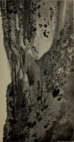 An illustration from Report 1911 (1896)