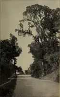 An illustration from Report 1911 (1896)