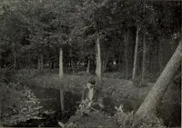 An illustration from Report 1911 (1896)
