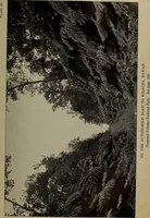 An illustration from Report 1911 (1896)