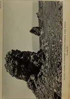 An illustration from Report 1911 (1896)