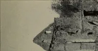 An illustration from Report 1911 (1896)
