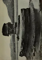 An illustration from Report 1911 (1896)