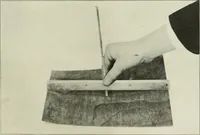 An illustration from Report (1915)