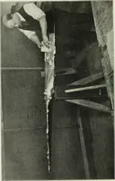 An illustration from Report (1915)