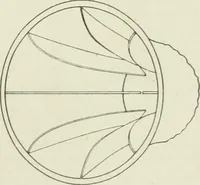 An illustration from Report (1915)