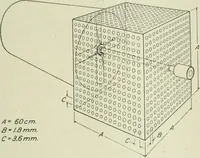 Picture 206 of 295 from Report (1915), leaf 516