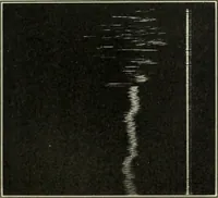 An illustration from Report (1915)