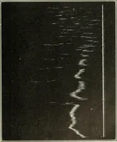 An illustration from Report (1915)