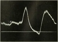 An illustration from Report (1915)
