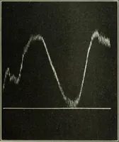 Picture 223 of 295 from Report (1915), leaf 532