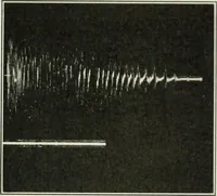 An illustration from Report (1915)