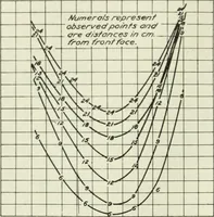 Picture 269 of 295 from Report (1915), leaf 685