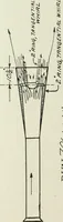An illustration from Report (1915)
