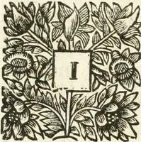 An illustration from A report containing an essay for the amendment of the silver coins (1695)