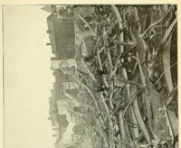 An illustration from Report of the ... Annual Meeting of the American Street Railway Association (1897)