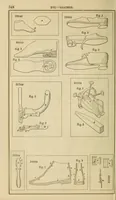 Picture 15 of 18 from Report of the Commissioner of Patents for the year .. (1849), leaf 578