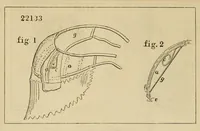 Picture 18 of 18 from Report of the Commissioner of Patents for the year .. (1849), leaf 674
