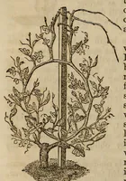 An illustration from Report of the Commissioner of Patents for the year .. (1849)