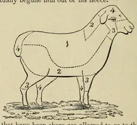 An illustration from Report of the Commissioner of Patents for the year .. (1849)