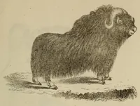 An illustration from Report of the Commissioner of Patents for the year .. (1849)