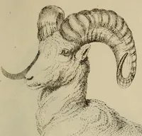 An illustration from Report of the Commissioner of Patents for the year .. (1849)