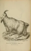 An illustration from Report of the Commissioner of Patents for the year .. (1849)