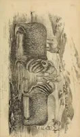 An illustration from Report of the Commissioner of Patents for the year .. (1849)
