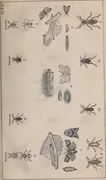 An illustration from Report of the Commissioner of Patents for the year .. (1849)