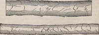 An illustration from Report of the Commissioner of Patents for the year .. (1849)