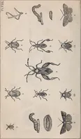 Picture 8 of 20 from Report of the Commissioner of Patents for the year .. (1849), leaf 15