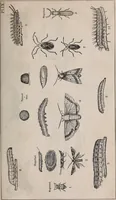An illustration from Report of the Commissioner of Patents for the year .. (1849)