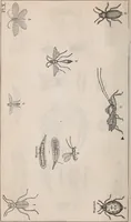 An illustration from Report of the Commissioner of Patents for the year .. (1849)
