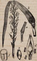 Picture 17 of 20 from Report of the Commissioner of Patents for the year .. (1849), leaf 266
