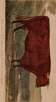 Picture 1 of 20 from Report of the Commissioner of Patents for the year .. (1849), leaf 7